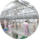 Advanced Technological Equipment