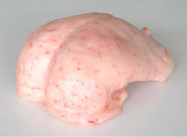 Frozen Lamb Tail Fat 